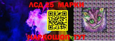 стаф Абакан