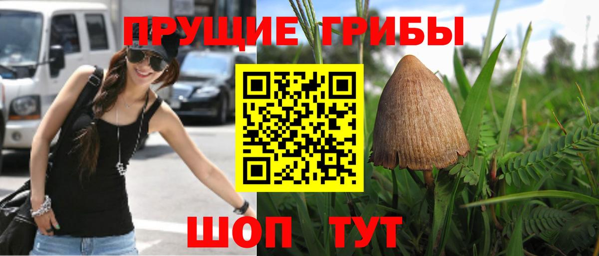 Галлюциногенные грибы Cubensis  Вход с VPN  Россия 